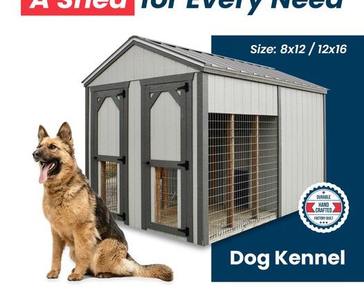 The Top 5 Reasons Why You Should Invest in a Dog Kennel